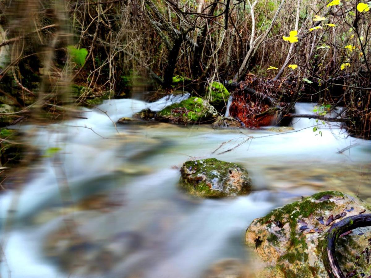 La Casa Del Naturalista El Bosque Bagian luar foto