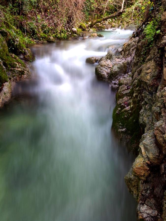 La Casa Del Naturalista El Bosque Bagian luar foto