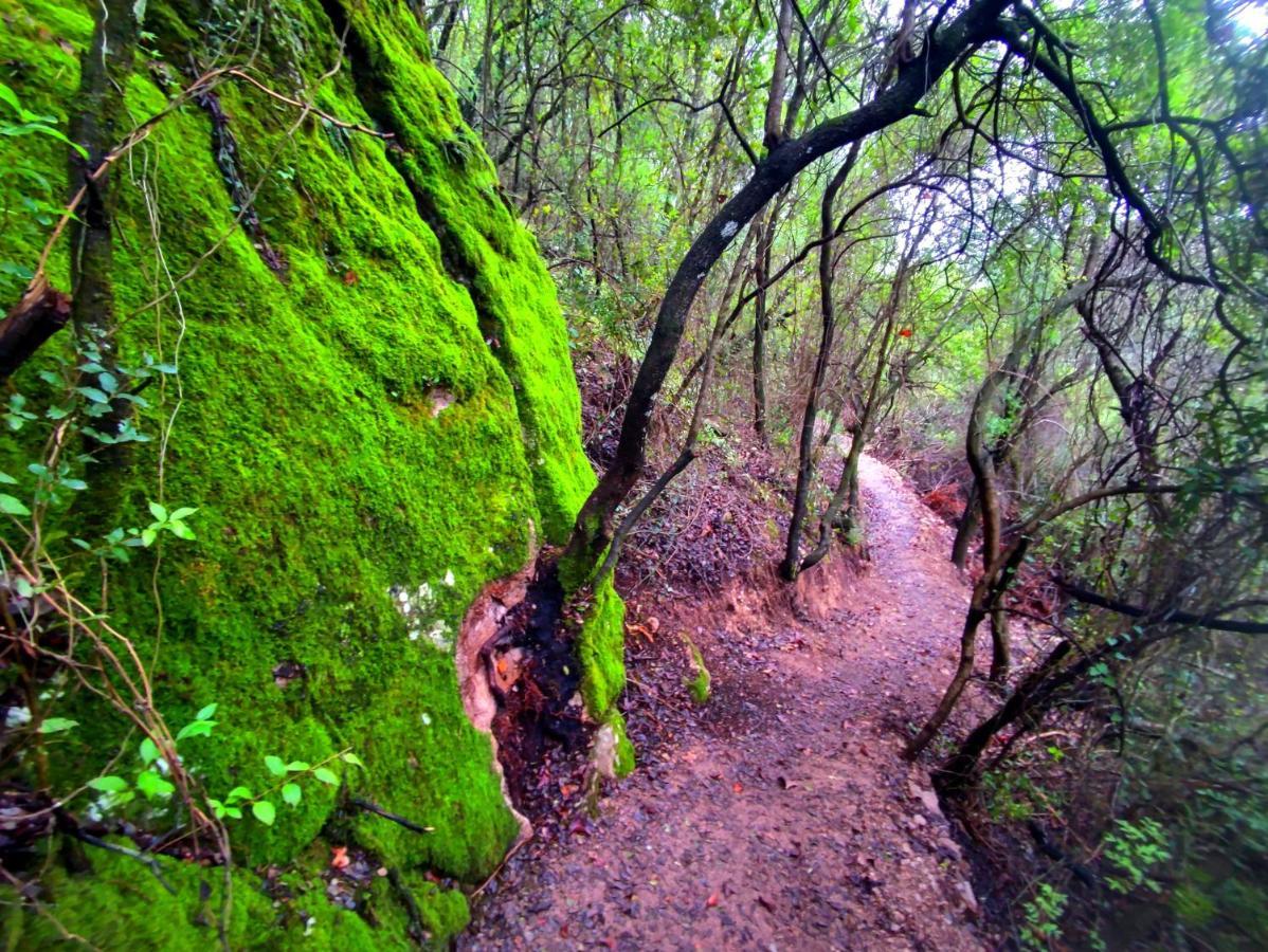 La Casa Del Naturalista El Bosque Bagian luar foto