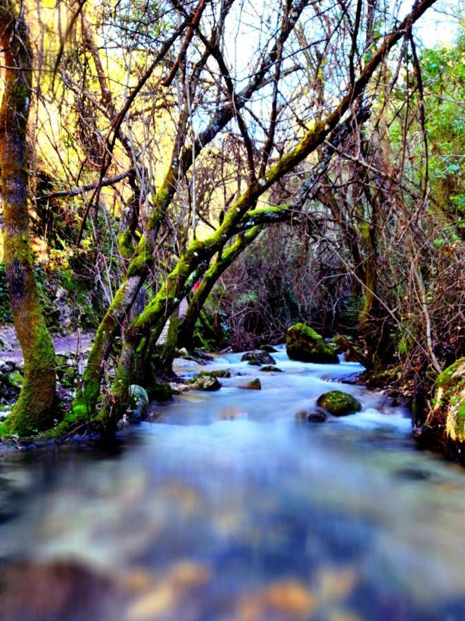 La Casa Del Naturalista El Bosque Bagian luar foto