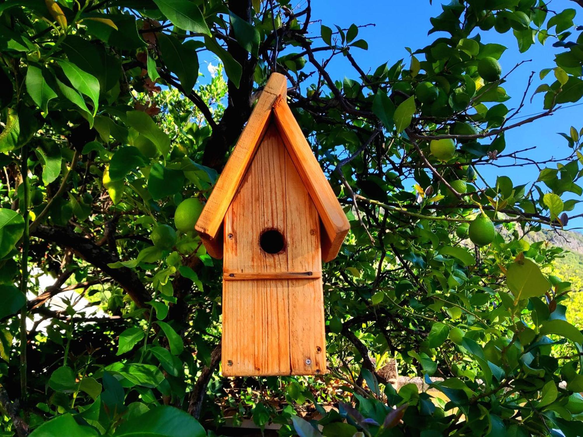 La Casa Del Naturalista El Bosque Bagian luar foto